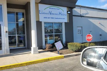 Lombard Veterinary Hospital