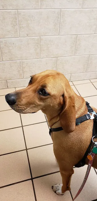 Lombard Veterinary Hospital 12