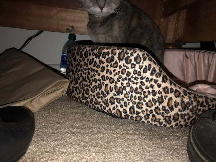 Downers Grove Animal Hospital & Bird Clinic 12