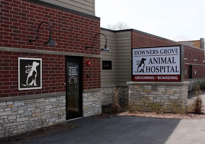 Downers Grove Animal Hospital & Bird Clinic 12
