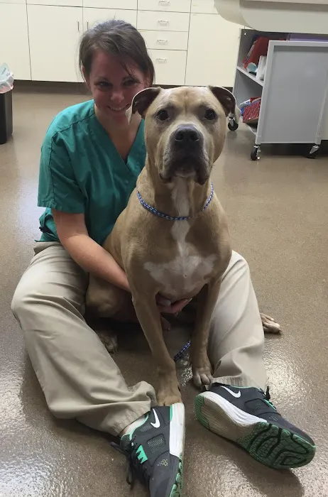 VCA West Suburban Veterinary Hospital 4