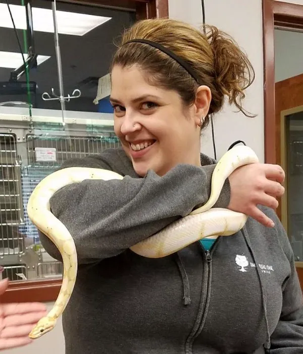 VCA West Suburban Veterinary Hospital 2