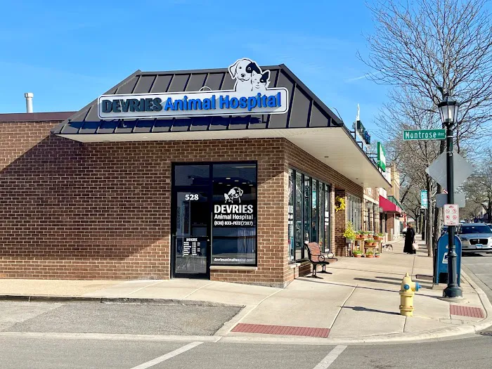 DeVries Animal Hospital 12