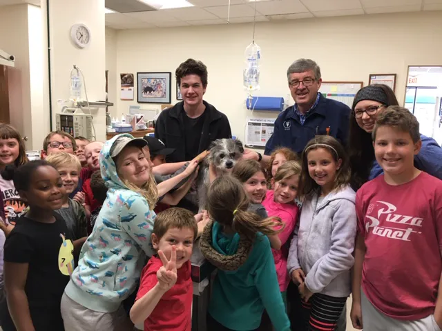 DeVries Animal Hospital 12