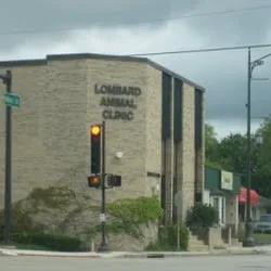 Lombard Animal Clinic, P.C. 12