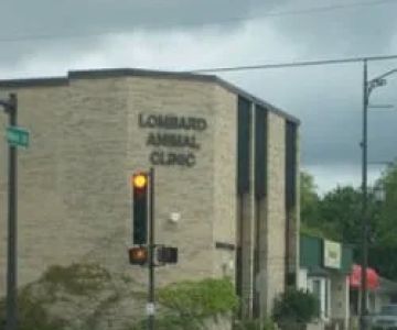 Lombard Animal Clinic, P.C.