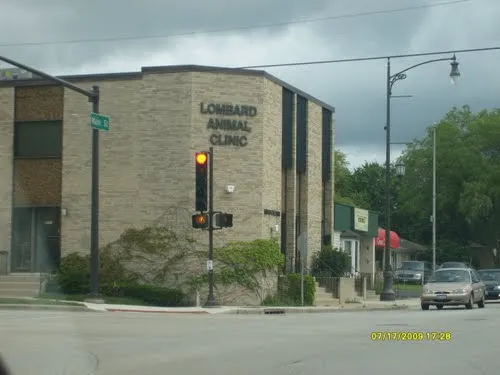 Lombard Animal Clinic, P.C. 12