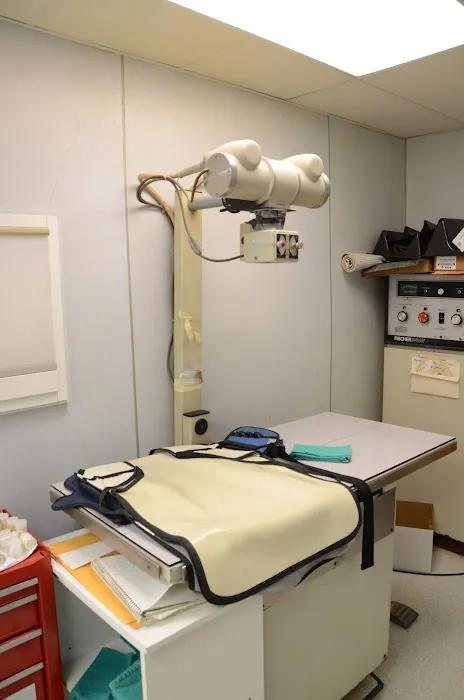 Lombard Animal Clinic, P.C. 12