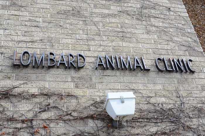 Lombard Animal Clinic, P.C. 12