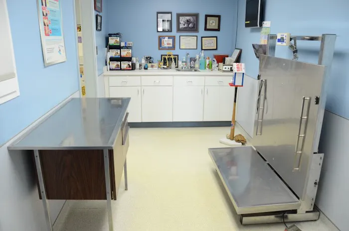 Lombard Animal Clinic, P.C. 12