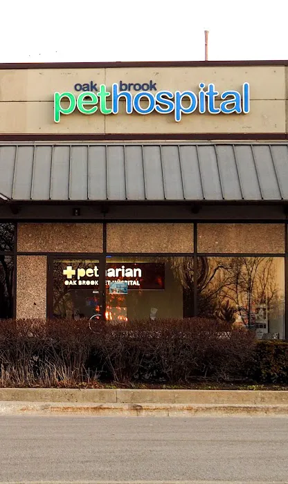 Oak Brook Pet Hospital 12