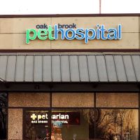 Oak Brook Pet Hospital ico
