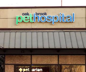 Oak Brook Pet Hospital