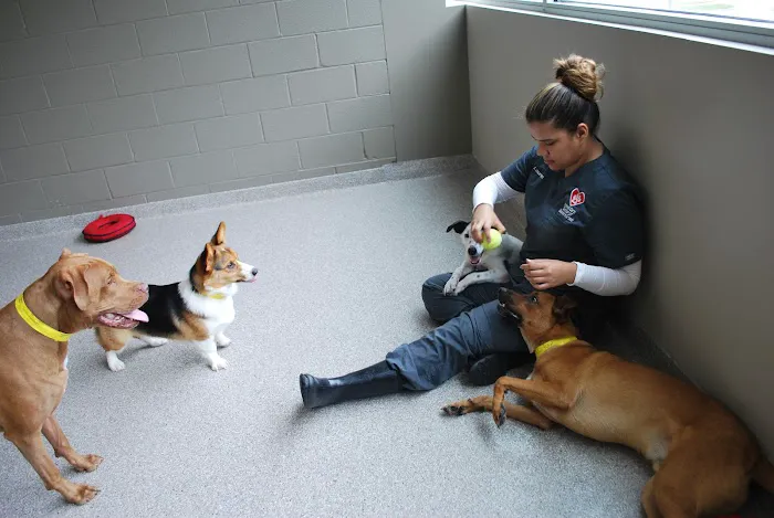 Animal Care Center of Downers Grove 2