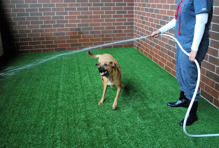 Animal Care Center of Downers Grove 8