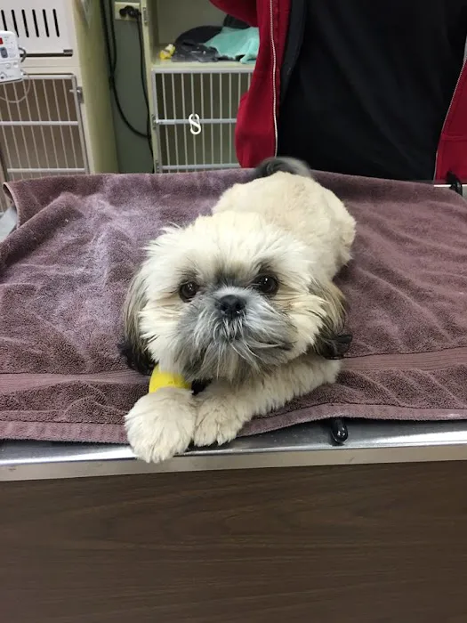 Emergency Veterinary Services of Lisle 6
