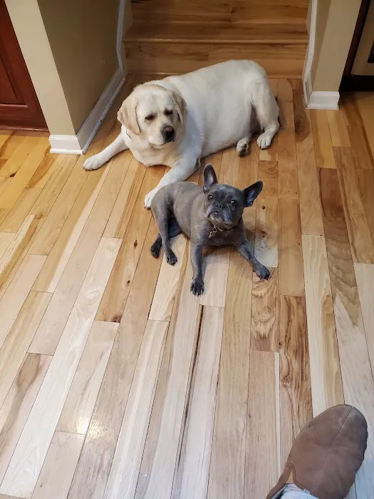Partners and Paws Veterinary Services 2