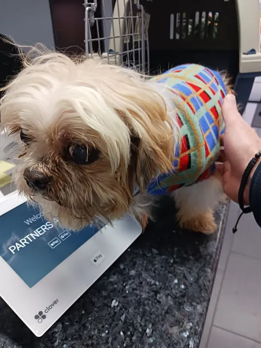 Partners and Paws Veterinary Services 4