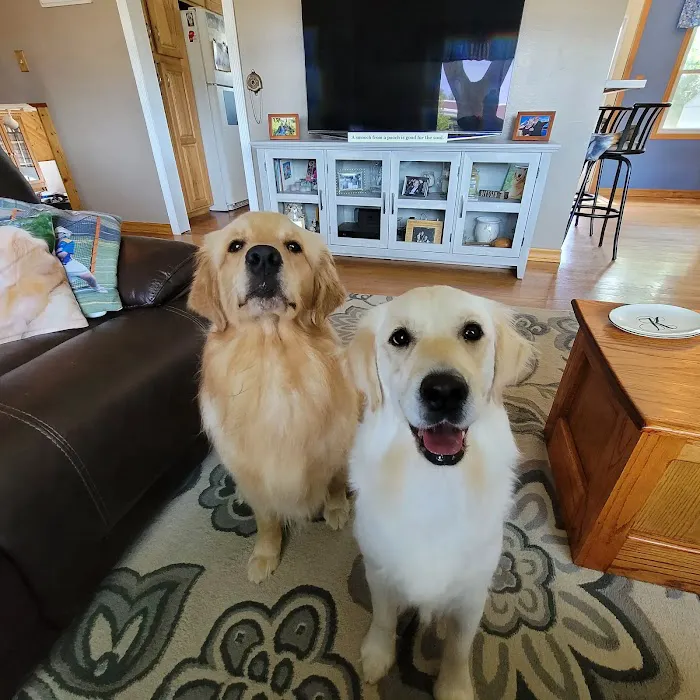 Partners and Paws Veterinary Services 10
