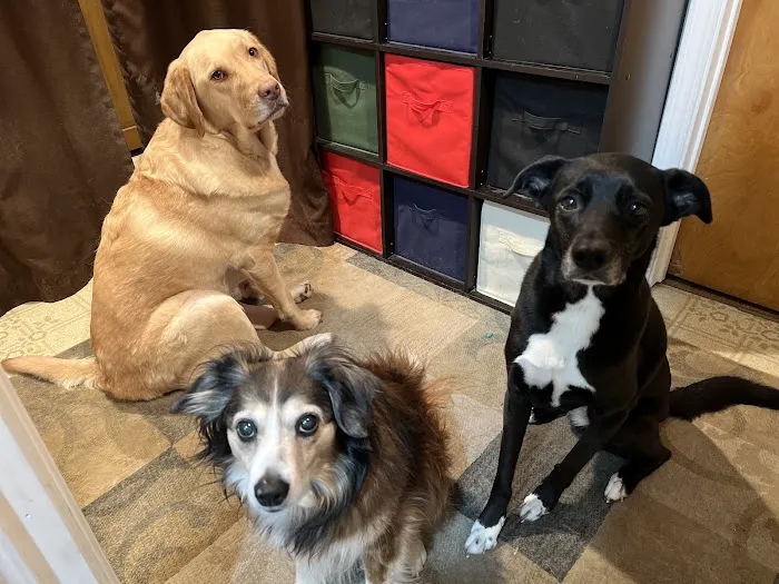 Ad Park Pet Clinic 2
