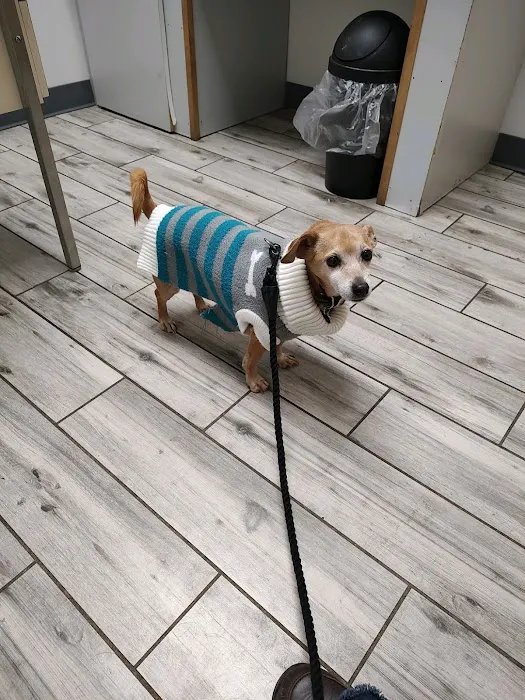 Ad Park Pet Clinic 10