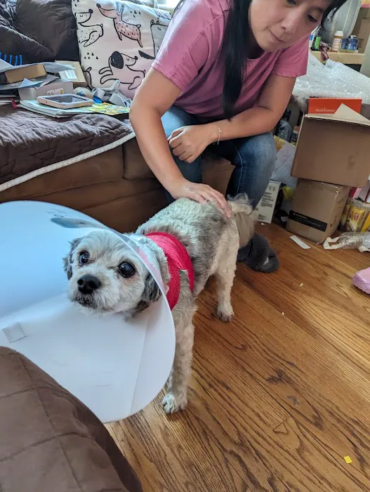 Ad Park Pet Clinic 5