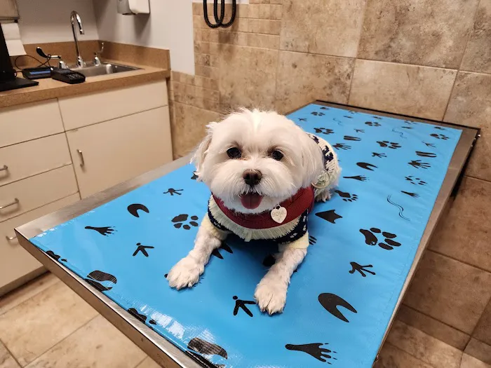 Hanover Park Animal Care Center 2