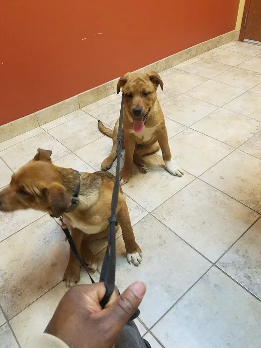 Hanover Park Animal Care Center 1