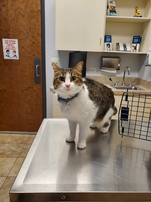 Hanover Park Animal Care Center 4