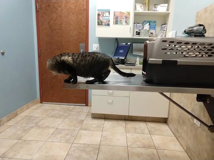 Hanover Park Animal Care Center 10
