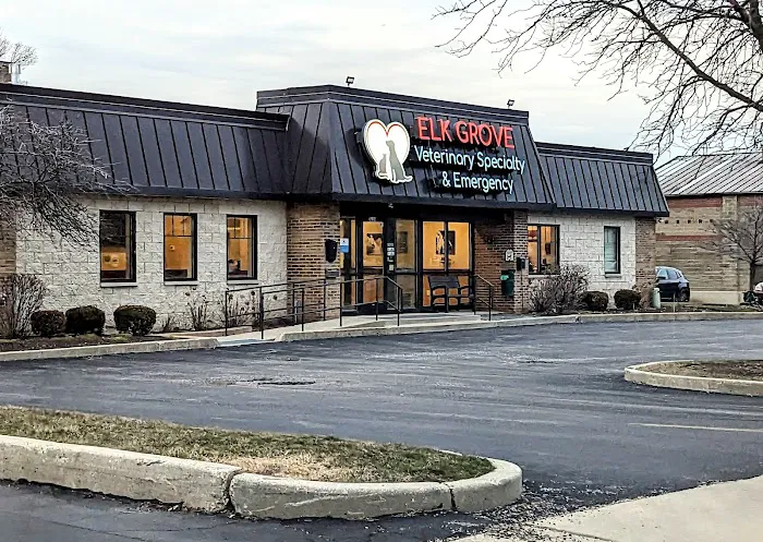 Elk Grove Veterinary Specialty & Emergency 12