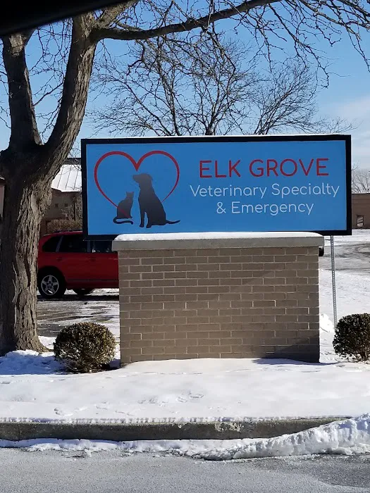 Elk Grove Veterinary Specialty & Emergency 12
