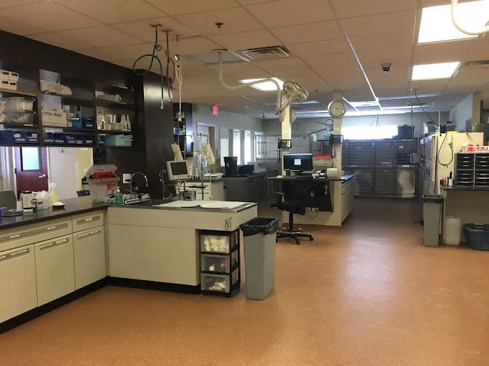 Elk Grove Veterinary Specialty & Emergency 12