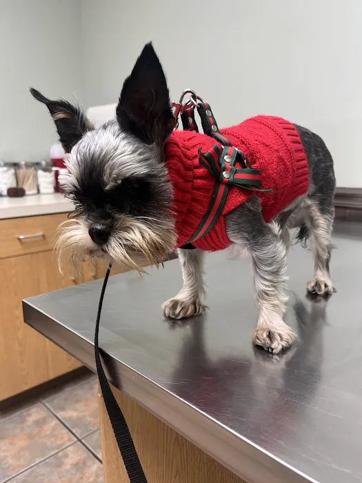 Hobson Valley Animal Clinic 6