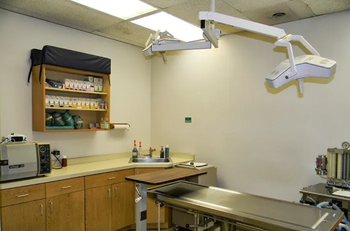 Hobson Valley Animal Clinic 8