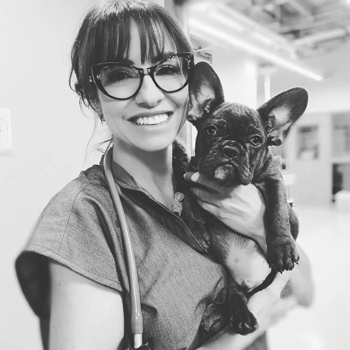Urban Veterinary Associates 5