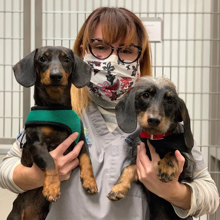 Urban Veterinary Associates 7