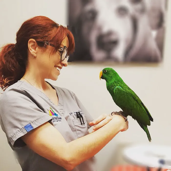 Urban Veterinary Associates 9
