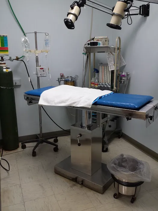WillowGrove Pet Clinic 12