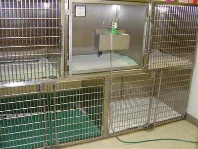 WillowGrove Pet Clinic 12