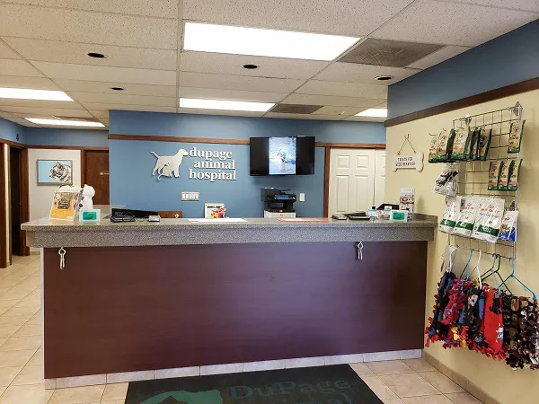DuPage Animal Hospital 12