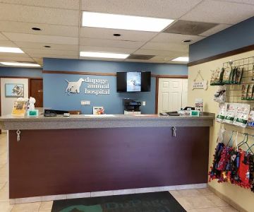 DuPage Animal Hospital