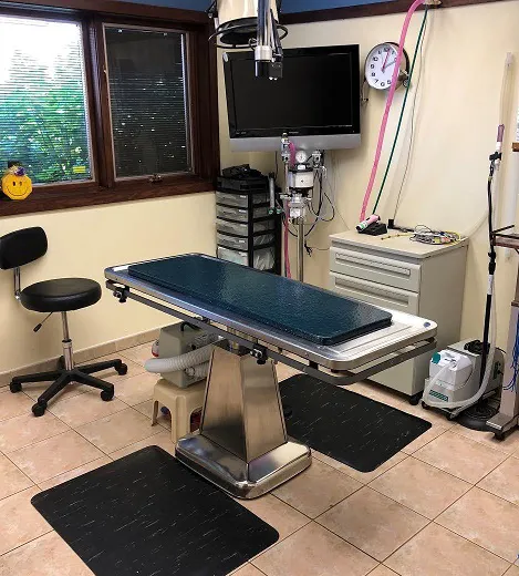 DuPage Animal Hospital 12