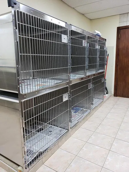 DuPage Animal Hospital 12