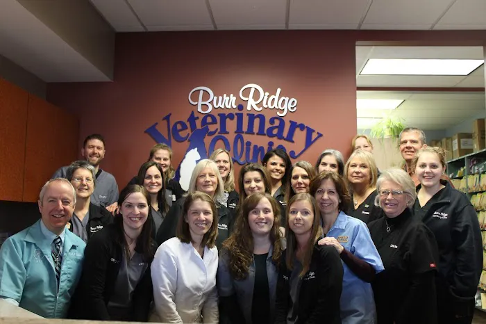 Burr Ridge Veterinary Clinic 12