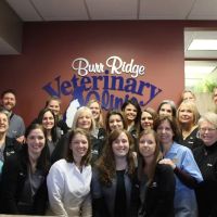 Burr Ridge Veterinary Clinic ico