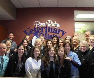 Burr Ridge Veterinary Clinic