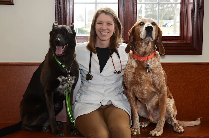 Burr Ridge Veterinary Clinic 12
