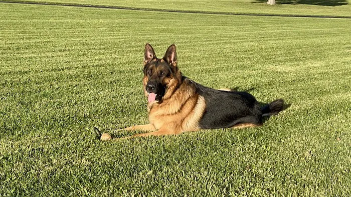 Burr Ridge Veterinary Clinic 12