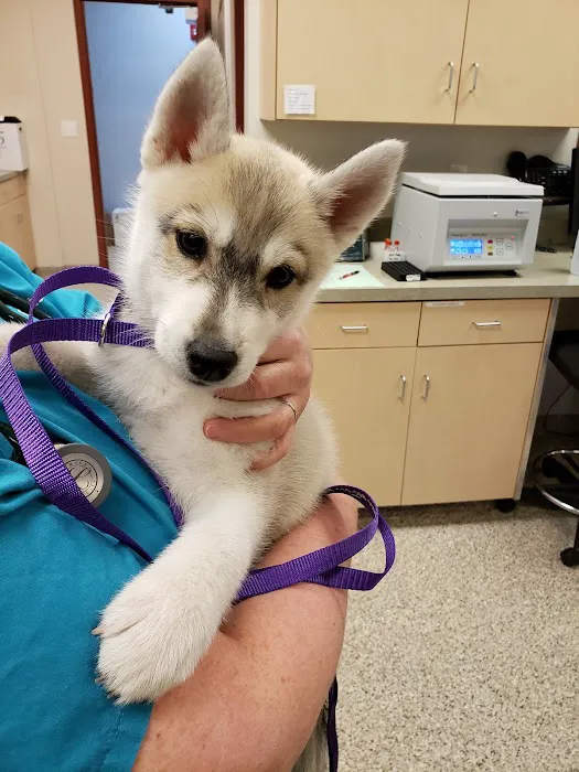 Burr Ridge Veterinary Clinic 12